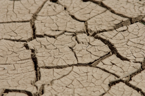 Cracked dry river bed showing drought effects and environmental impact.