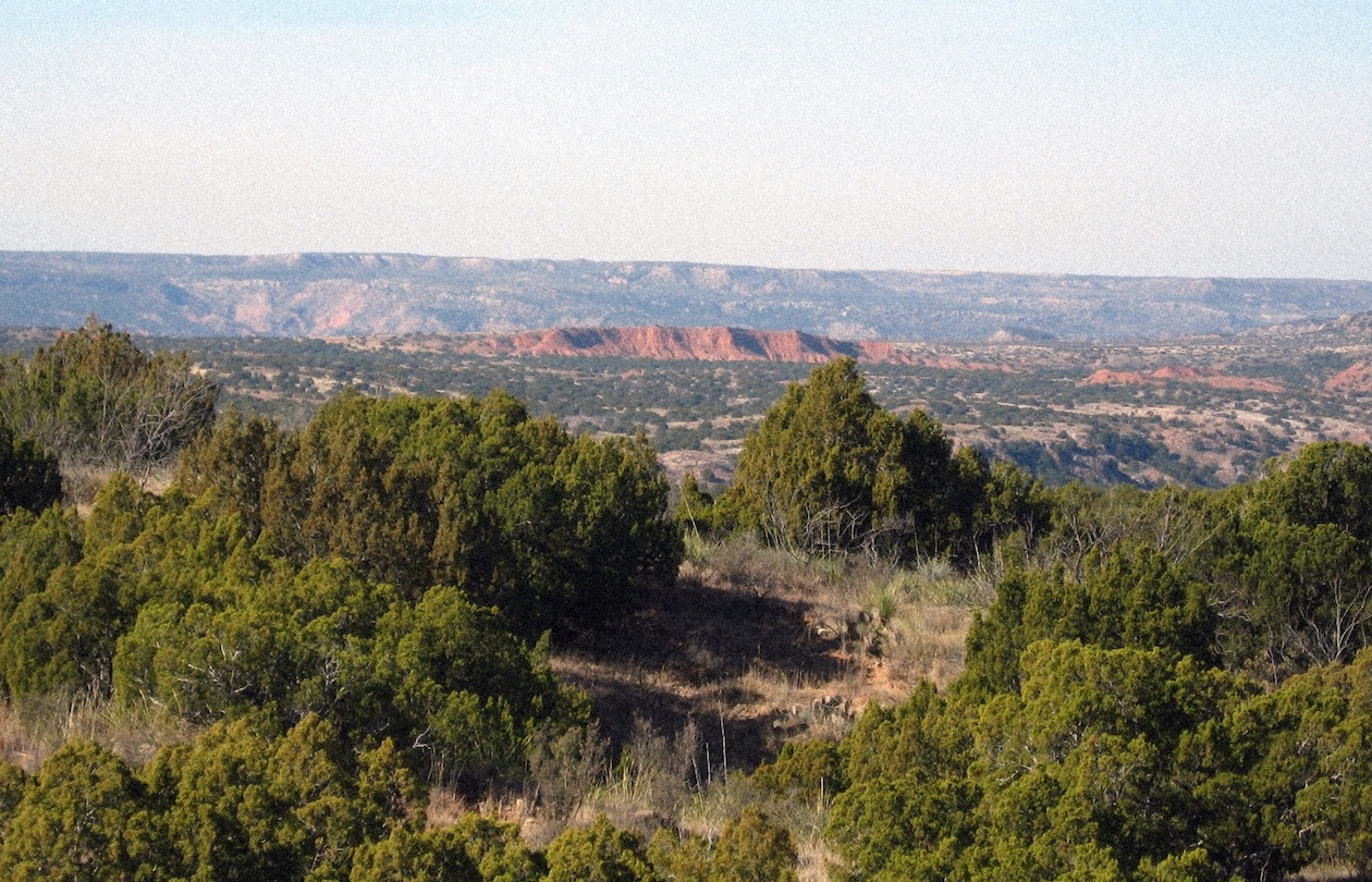Scenic view of canyon landscape with green shrubs and distant rocky formations under a clear sky