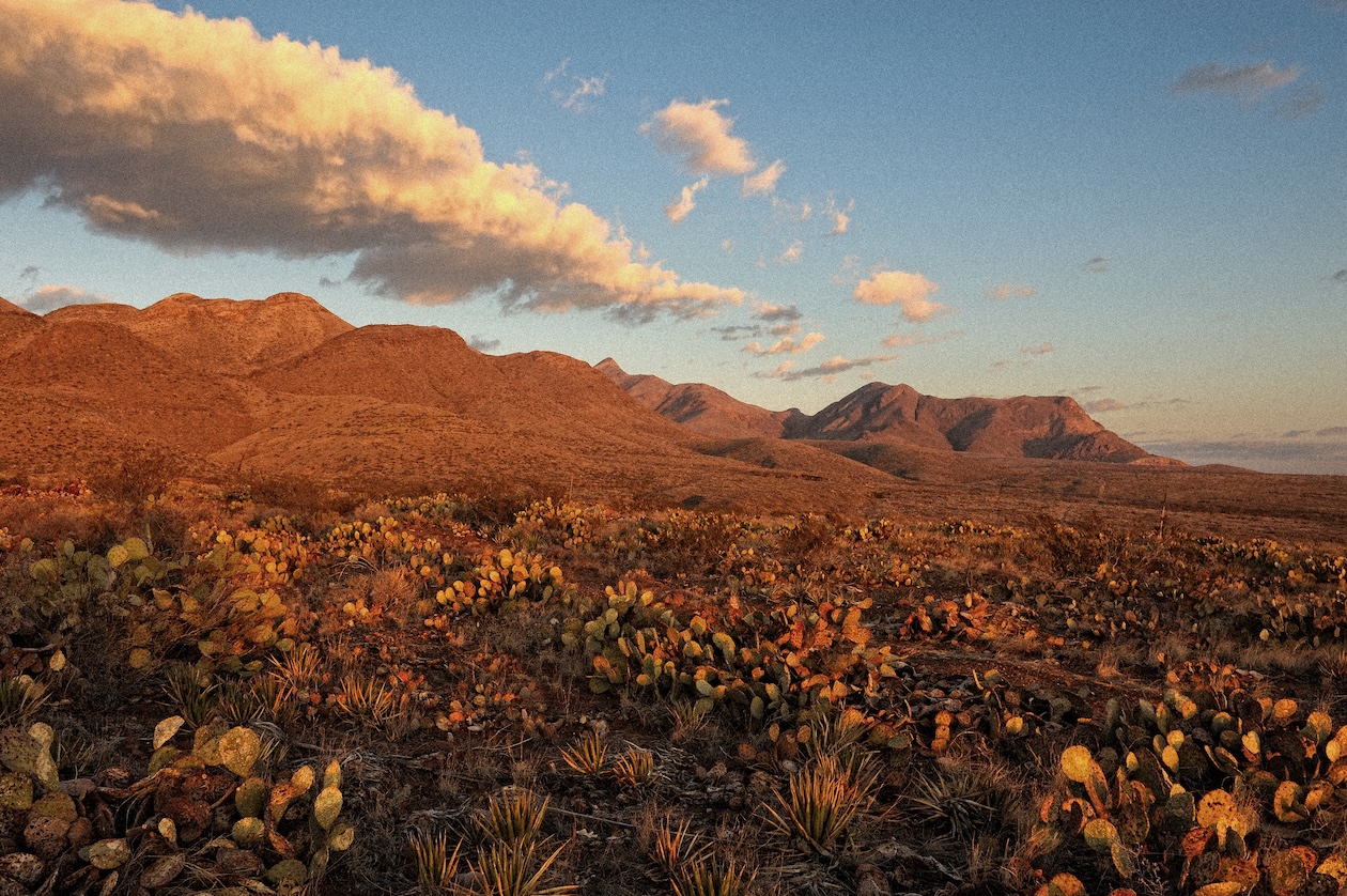 Atardecer sobre paisaje desértico con montañas y cactus en primer plano
