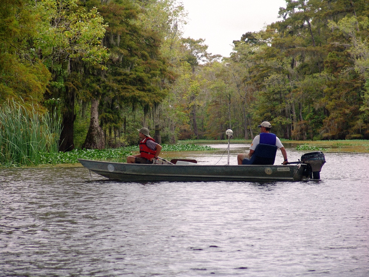 Two men fishing on a boat in a serene forested lake scene