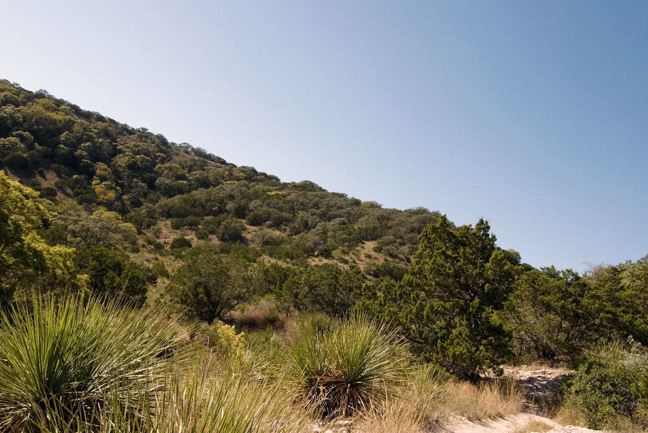 Landscape with green hills and clear blue sky in a sunny, natural setting